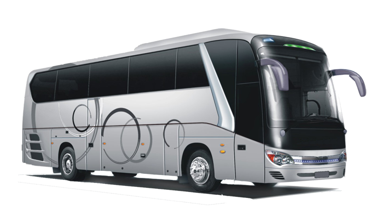 Bus 25 Half Day